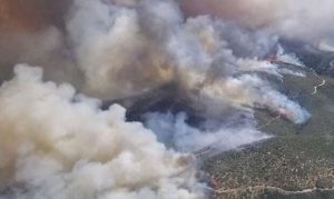 Here are the 5 largest wildfires in Arizona history