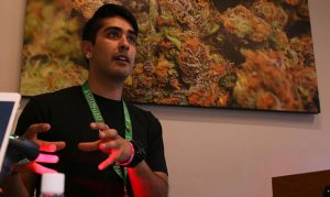 Arizona Supreme Court decision boosts medical marijuana industry