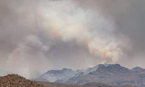 Woodbury Fire passes Willow to become state's 5th largest fire