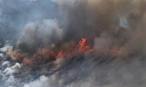 Personnel grows as crews continue to battle Woodbury Fire outside Phoenix