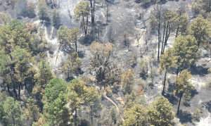 Woodbury Fire 'very active' overnight; high winds complicating effort