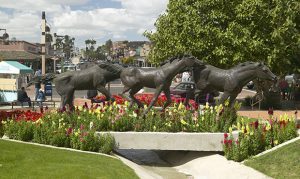 Scottsdale named the top market to rent in the nation