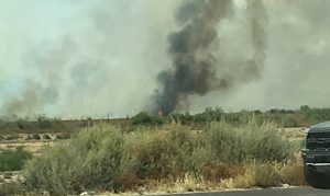 Crews get brush fire in north Phoenix near Cave Creek Road under control