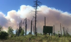 Activity winds down on Cellar Fire south of Prescott