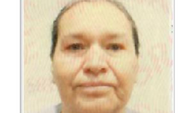 (Arizona DPS Photo)...