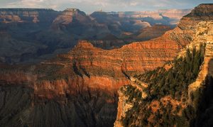 Body recovered from Grand Canyon believed to be missing California man