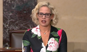 Sinema pushes for veteran suicide prevention in first Senate speech