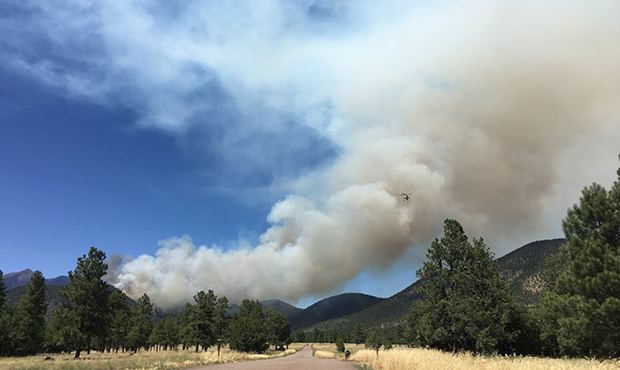 (Twitter Photo/Coconino NF)...