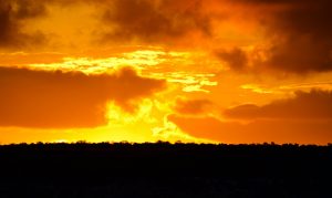 Ozone health watch issued for metro Phoenix for Monday