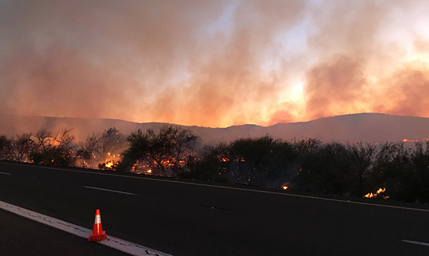 (Arizona DPS Photo)...