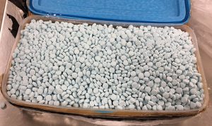 Over 1M fentanyl pills have been seized in Arizona this year
