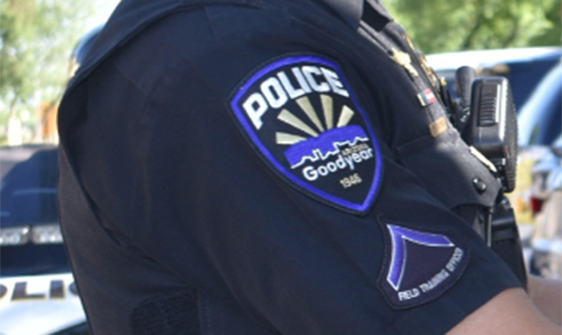 (Twitter Photo/@GoodyearPolice)...