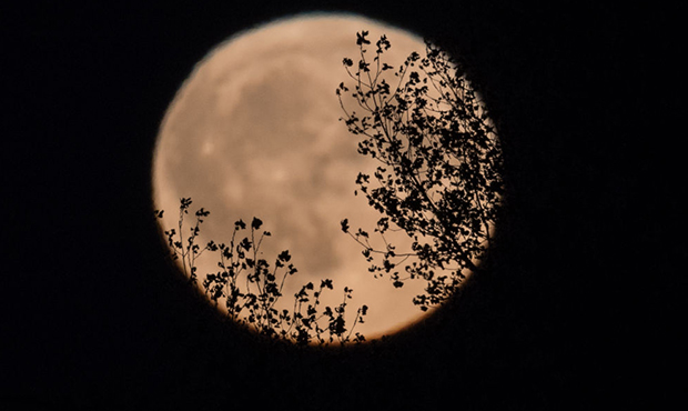 (Getty Images Photo/Matt Cardy)...