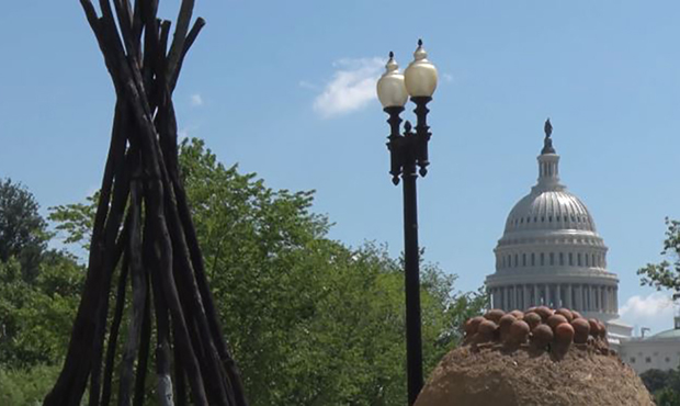 Outside the National Museum of the American Indian in Washington, a teepee frame shares some of the...