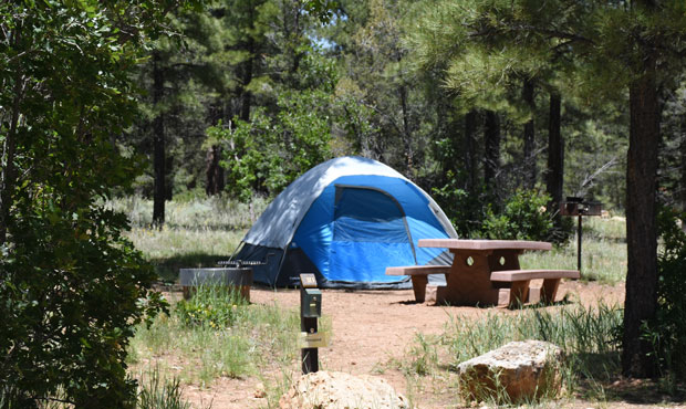 Ten X Campground (Flickr Photo/Kaibab National Forest)...