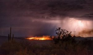 Heavy winter rainfall setting Arizona up for potentially nasty fire season