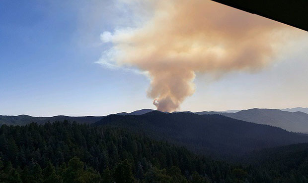 (Twitter photo/@PrescottNF)...