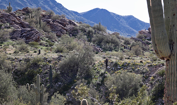 (South Mountain Environmental Education Center/Facebook Photo)...