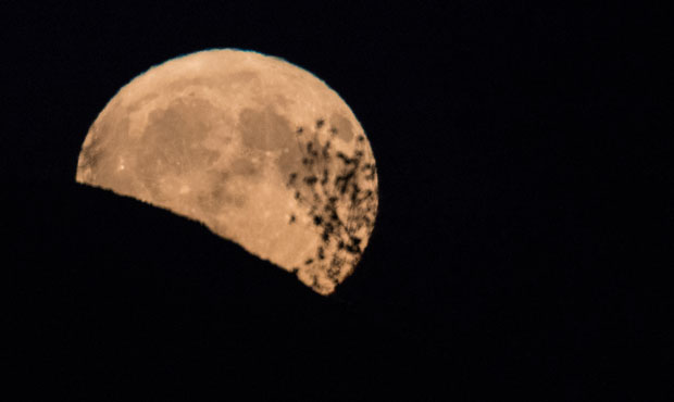(Photo by Matt Cardy/Getty Images)...