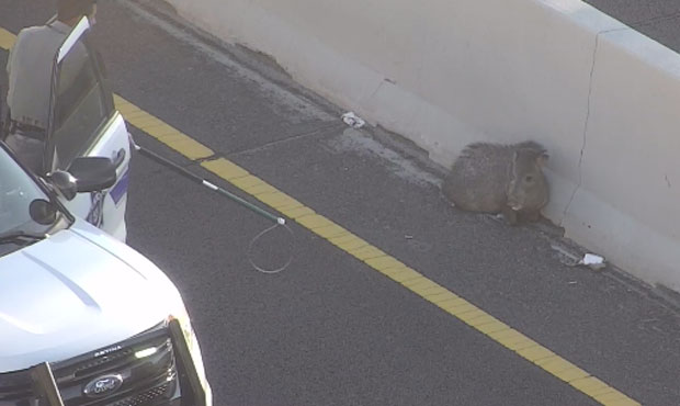 (Twitter Photo/@ArizonaDOT)...