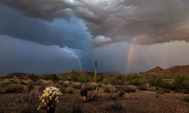 (Twitter Photo/Frank Hatcher)...