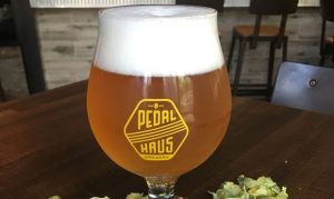 Tempe's Pedal Haus named best US brewery at international competition