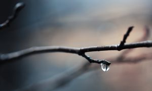 Lackluster Phoenix-area monsoon season officially comes to end
