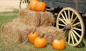 Find your favorite Valley fall events with this KTAR News 92.3 FM map