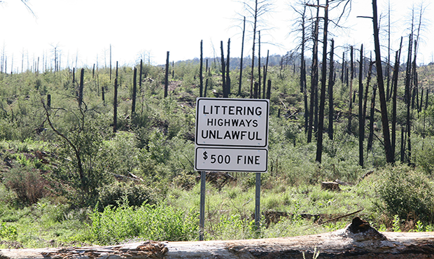 (ADOT Photo)...