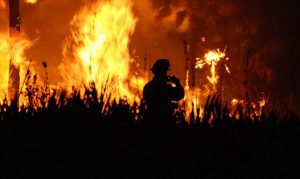 Money to burn: Forest Service wildfire fund ends its year in the black