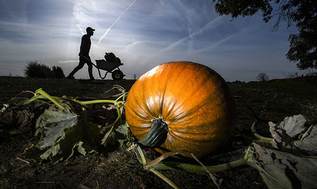 (Danny Lawson/PA via AP)...