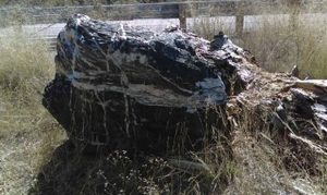 1-ton boulder goes missing from Prescott National Forest