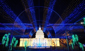 Lights of the World holiday show to take over Phoenix fairgrounds