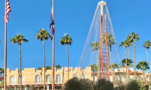 Downtown Chandler’s iconic Tumbleweed Tree will be up soon