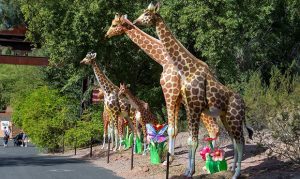 Wildlife Lantern Safari installed for upcoming Zoo Lights