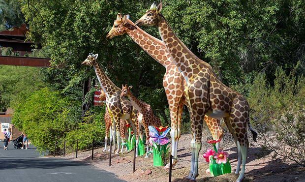 (Phoenix Zoo Photo)...