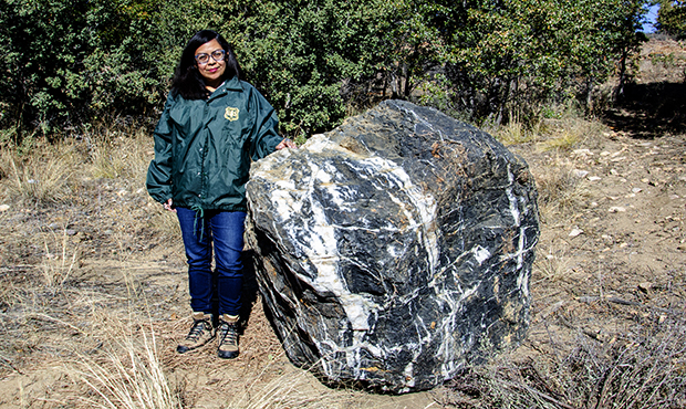 (Prescott National Forest Service Photo)...
