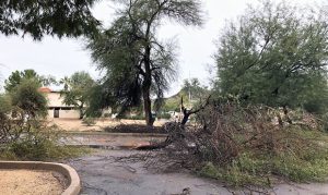 Rain and high winds wreak havoc for Valley roadways on Black Friday