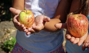 Arizona saw children’s obesity drop after WIC required healthier foods