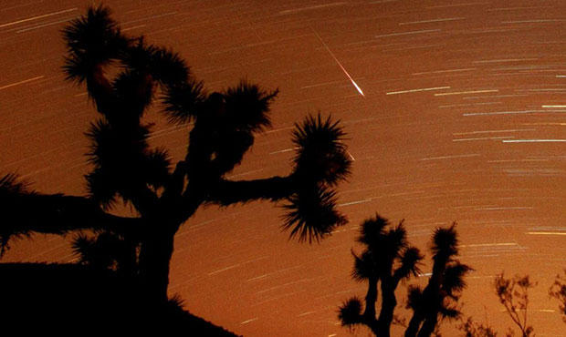 Several meteors are seen streaking through the sky during the Leonid meteor shower over Joshua Tree...