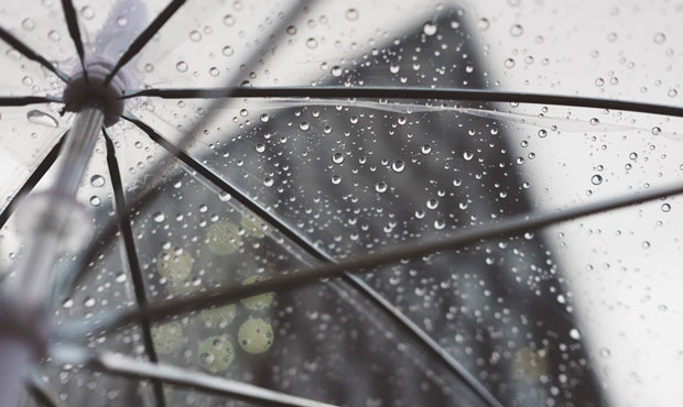 (Unsplash Photo)...