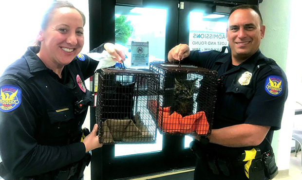 (Phoenix Police Department Photo)...