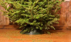 Here's how to choose and care for your Christmas tree