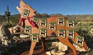 Maricopa County to unveil campground at regional park