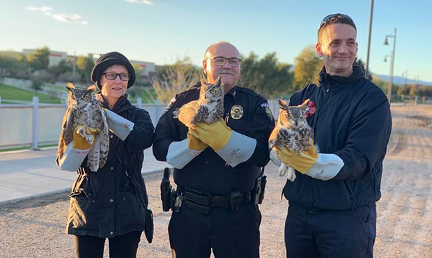 (Photo courtesy of City of Goodyear)...