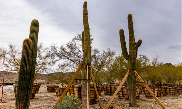 (ADOT Photo)...