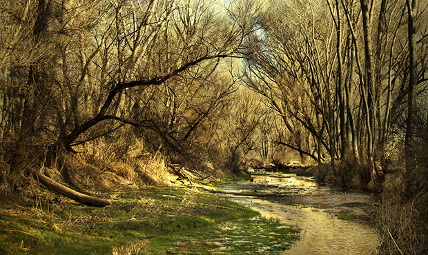 The San Pedro Riparian National Conservation Area is one of the projects that could receive funding...