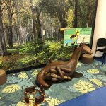 Arizona Museum of Natural History Exploration Station 9