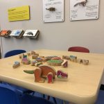 Arizona Museum of Natural History Exploration Station 7
