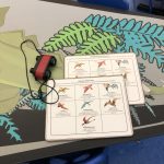 Arizona Museum of Natural History Exploration Station 3